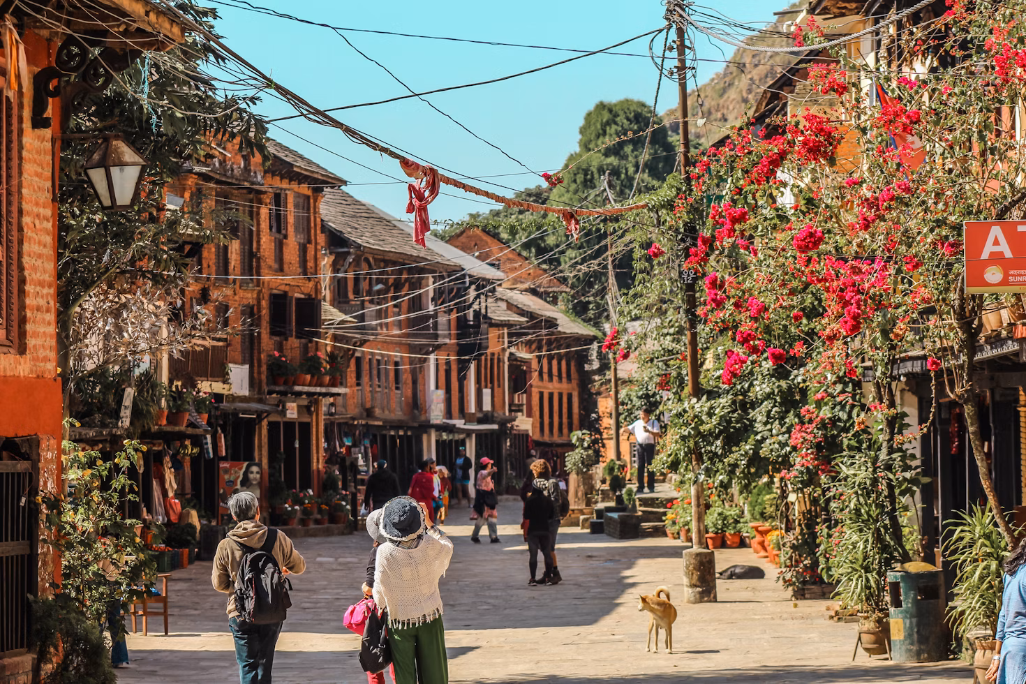 Bandipur destination